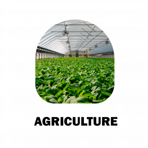 Agriculture
